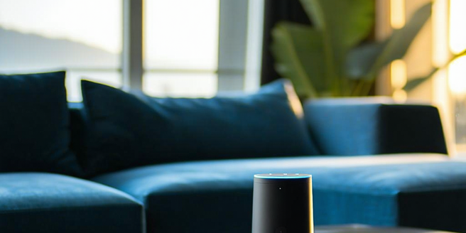 Voice-controlled Devices