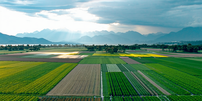 Drone Photography Accessories