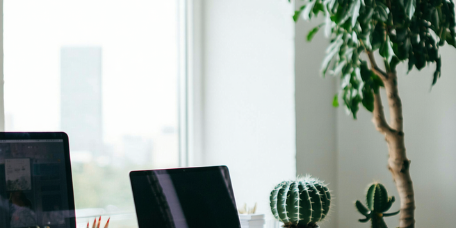 Digital Minimalism In Workspaces